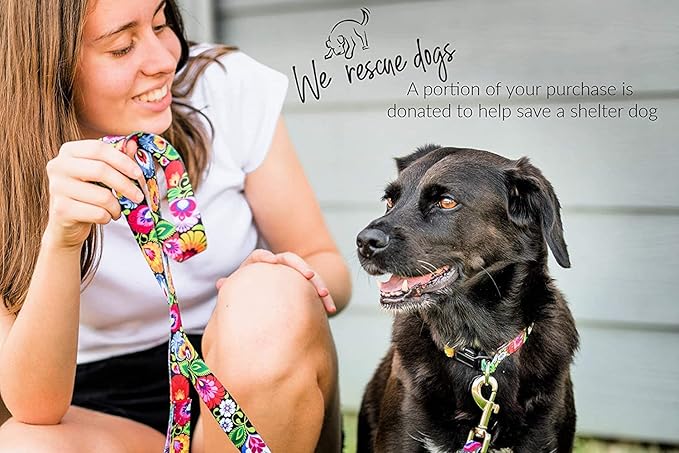 Lucky Love Dog - Adjustable Dog Collar with Easy Click Buckle for Small to Large Ones, Durable, & Comfortable for Male & Female Dogs, Pet Collar for Puppies & Adult Dogs - Blackbird, Extra Large