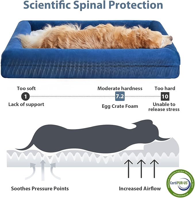 WNPETHOME Washable XXXXL Dog Bed, Orthopedic Sofa with Removable & Waterproof Cover, Extra Large Couch with Bolster Sides for Sleeping, Giant Size