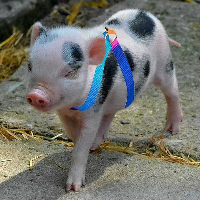 2 Pieces Adjustable Pig Harness with Leash Set Pet Pig Supplies Harness with Leash Set for for Hog Piggy Rabbit Small Animals Walking Jogging (S, Multicolor)