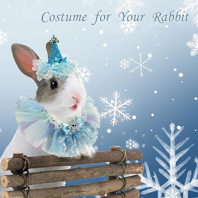 Small Animal Birthday Princess Costume for Rabbit Guinea Pig- Guinea Pig Crown Hat Tutu Skirt Bunny Princess Hat Bunny Bandana Halloween Small Pet Outfit for Guinea Pig Bunny Hedgehog S