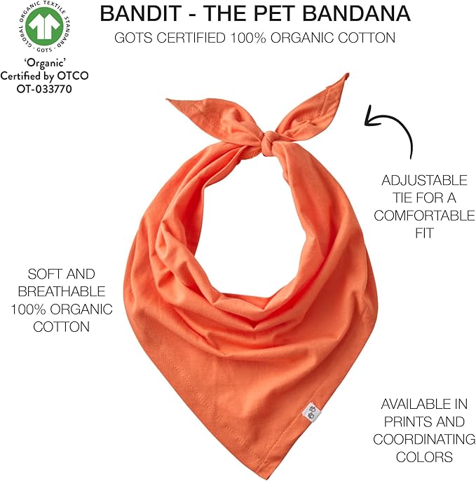 Multipack 100% Organic Cotton Pet Bandanas for Small, Medium and Large Dogs, Candy Corn, X-Small/Small