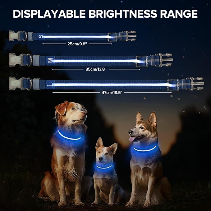 Led Dog Collar for Night Walking,Rechargeable Light Up Dog Collar Led Color,Glow in The Dark Dog Collars Waterproof for Small Medium Large Dogs(Blue, Medium)