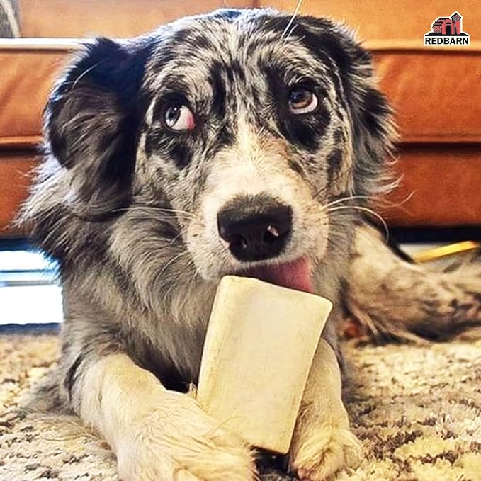 Redbarn Pet Products Small Filled Dog Bones, Peanut Butter Flavor - Long Lasting Stuffed Femur Chew Treat Made in USA - 4 Count - Packaging May Vary