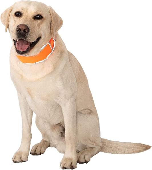 Hi-Vis Dog Cooling Collar - Orange Reflective Re-Freezable Ice Collar (Large)