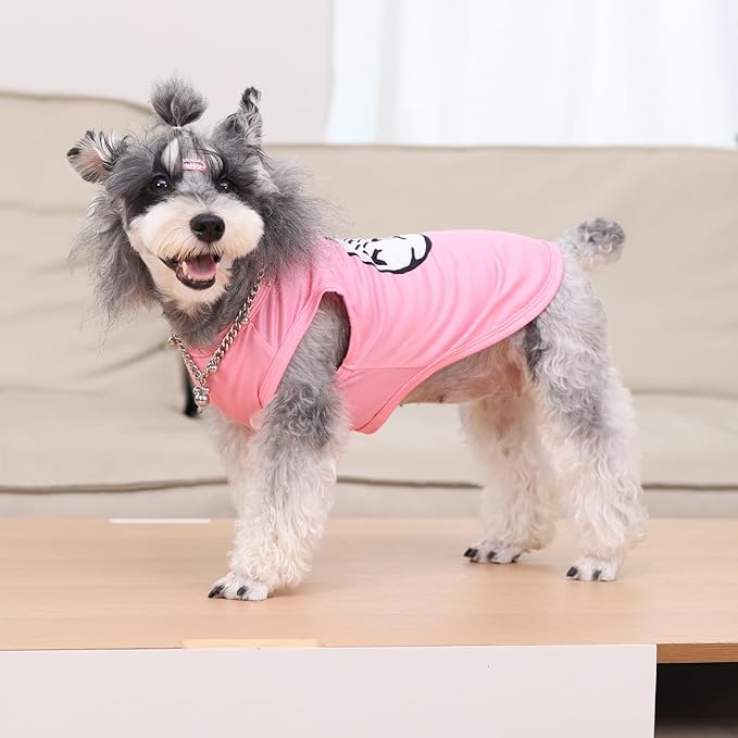 CuteBone Dog Shirts 2-Pack Soft Pet Clothes Breathable Summer Vest for Small Puppy and Stretchy Cat Apparel 2BX21XS-D