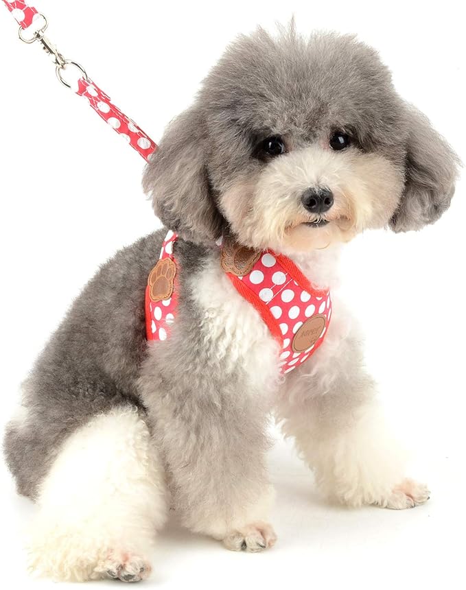SMALLLEE_LUCKY_STORE CWYP00068-Red-S New Soft Mesh Nylon Vest Pet Cat Small Medium Dog Harness Dog Leash Set Leads ,Red , S