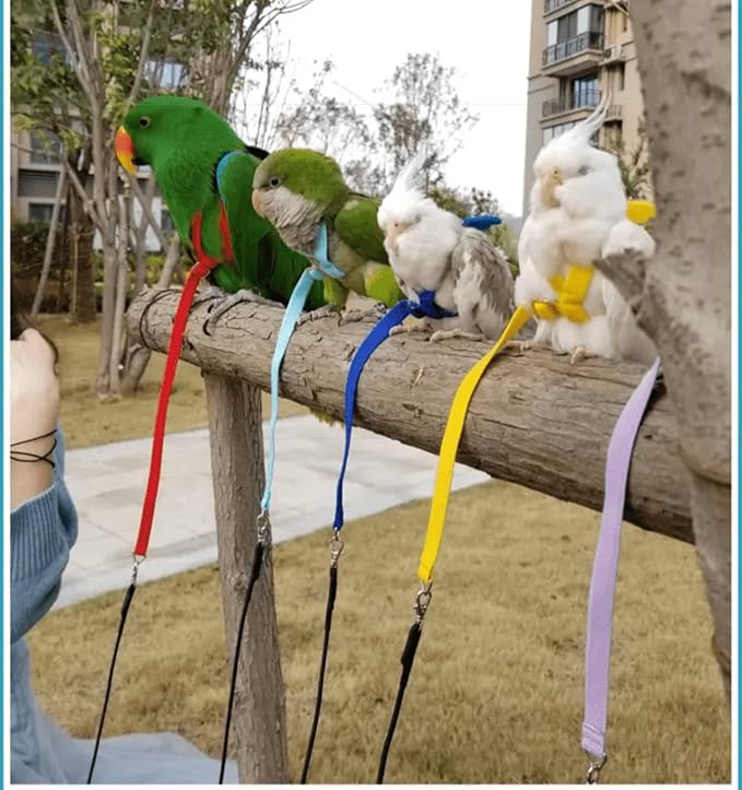 Pet Parrot Bird Harness Leash Adjustable Bird Flying Harness Traction Rope with Cute Wing for Parrots Pigeons Budgerigar Lovebird Cockatiel Mynah Outdoor Training Toy (M, Yellow)