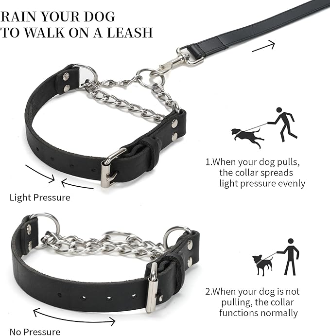 Martingale Collar for Dogs No-Pull Adjustable Training Collar with Stainless Steel Chain - Genuine Leather Anti-Slip Design for Small,Medium,Large Breed Dogs - Black (M)