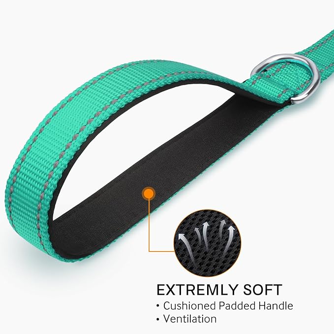 Joytale Double-Sided Reflective Dog Leash, 6 FT/5 FT/4 FT, Padded Handle Nylon Heavy Duty Leashes for Small & Medium Dogs Walking, Teal, 4FT