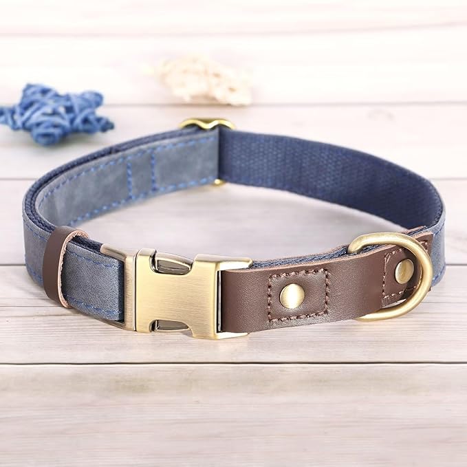 Didog Soft Padded Leather Dog Collars for Medium Dogs, Classic Heavy Duty Dog Collars Adjustable with Quick Release Metal Buckle,Blue,M Neck 13-19"