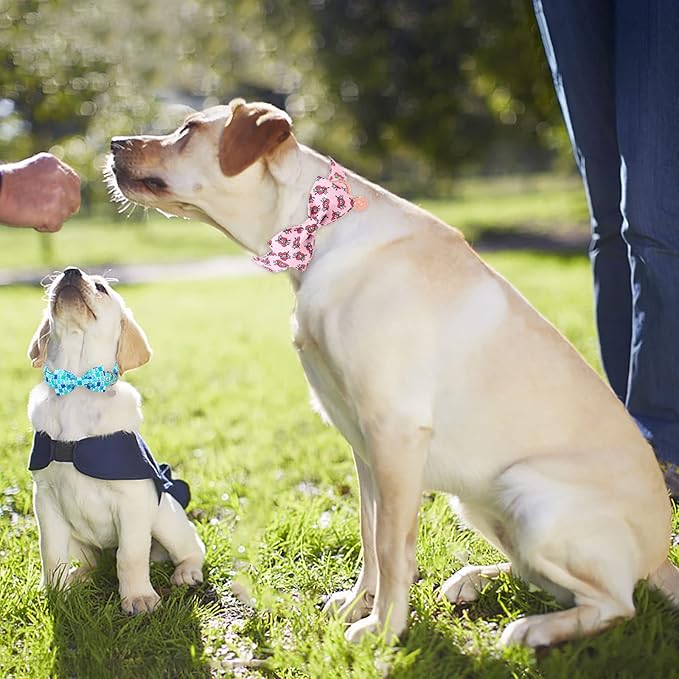 Mother’s Dog Collar with Bow Tie, Cute Cotton Girl Dog Collar, Adorable Pink Bowtie Collar for Medium Girl Dog, Female Dog Collar with Metal Buckle, M