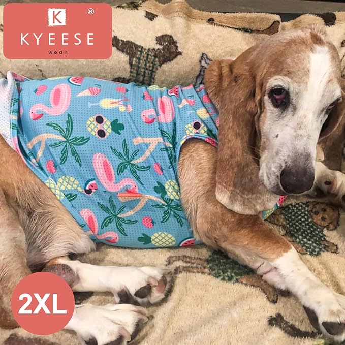 KYEESE 2 Pack Dog Shirts for Medium Dogs Quick Dry Breathable Pet T-Shirts with Reflective Label Tank Top Sleeveless Vest Sun Protection Dog Apparel Lemon Pattern for Summer,XX-Large,Lemon+Pink