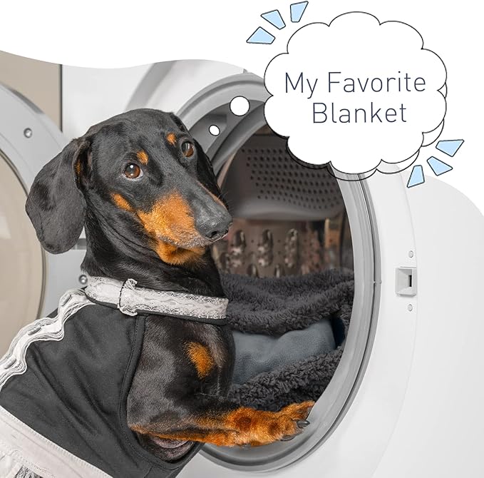 Kritter Planet Waterproof Blanket for Dogs, Pee Proof Sherpa Fleece Reversible Cover for Couch or Bed, Liquid Proof Furniture Protector for Small Medium Size Animals