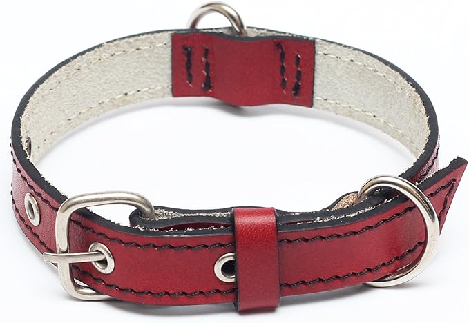 Premium Leather Collars with Stainless Steel Buckles (9"-12", Red)