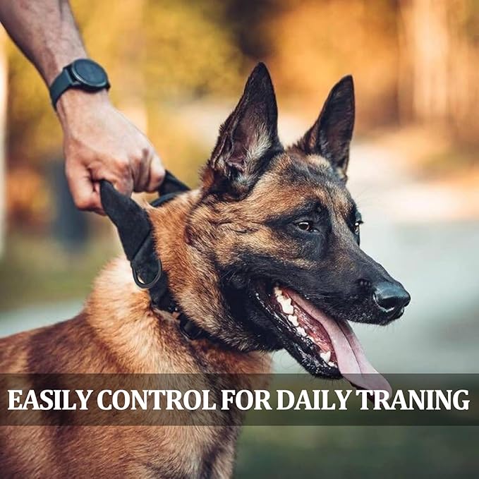 COOYOO Tactical Dog Collar Set, Adjustable Military Nylon Collar with Control Handle and Heavy Metal Buckle for Medium and Large Dogs