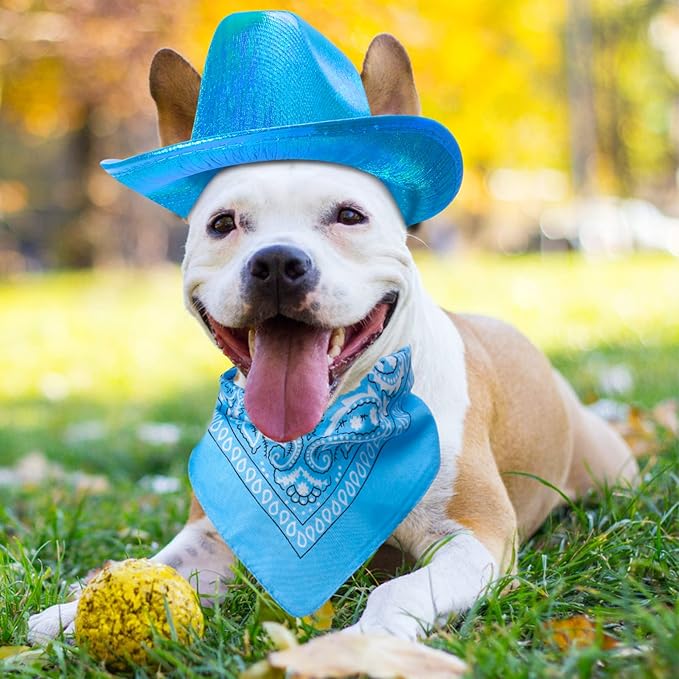 Yewong Pet Neon Sparkly Glitter Space Cowboy Hat Costume Set Dog Cat Metallic Space Shiny Cowboy Hats with Paisley Bandana West Cowboy Accessories for Pets (Metallic Blue) One Size