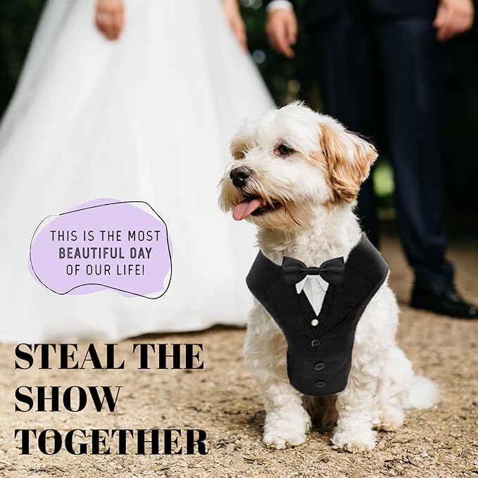 Dog Tuxedo for Wedding Outfit, Dog Suit and Tie Costumes for Birthday, Halloween, Cosplay, Christmas Party, Pet Formal Wear with Bowtie, Tux for Small Dogs, Chihuahua, Bichon, Maltese, Cats