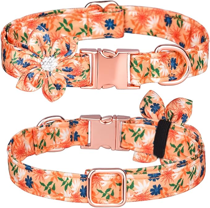 Floral Pattern Dog Collar - Cute with Detachable Rhinestone Flower for Female Puppy to Large Dogs (S, Orange)