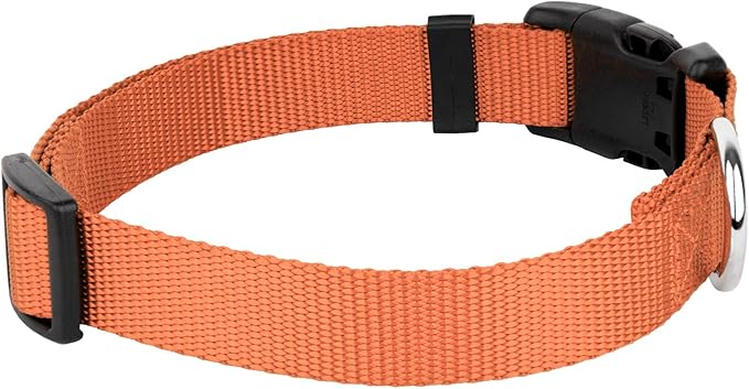 Country Brook Petz - American-Made Dog Collar for Large, Medium, and Small Dogs and Puppies - Deluxe Heavy Duty Nylon in 33 Dazzling Colors (Small, 3/4 Inch Wide, Coral)