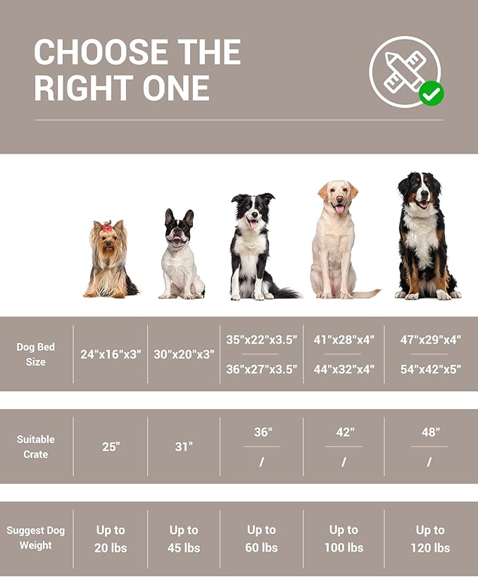 OhGeni Orthopedic Waterproof & Machine Washable Dog Bed for Medium Large Pets, Suitable for Crates, 25D Egg Crate Foam, Non-Slip Bottom & Removable Cover, Invisible Zipper, 35 Inches(Khaki)