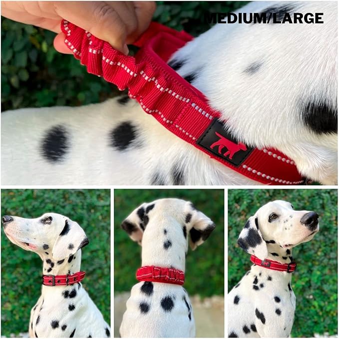 Heavy Duty Dog Collar with Handle | Ballistic Nylon Heavy Duty Collar | Padded Reflective Dog Collar with Adjustable Stainless Steel Hardware | Convenient Sizing for All Breeds