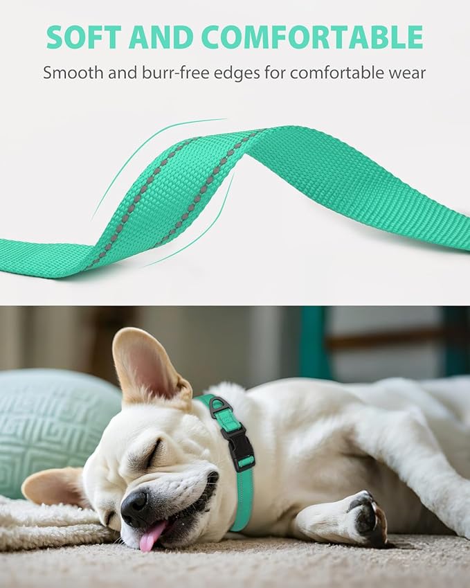 Joytale Small Dog Collar, Reflective and Adjustable Nylon Collar with Quick-Release Buckle, Lightweight No-Choke Design for Small Dogs, Teal, 3/4" Width