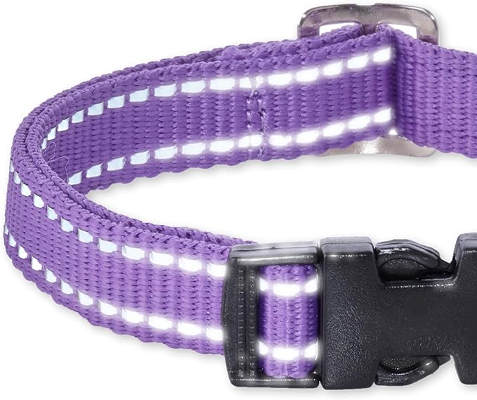 Adjustable Reflective Dog Pet Collar for Small, Medium and Large Dogs, Purple, Medium