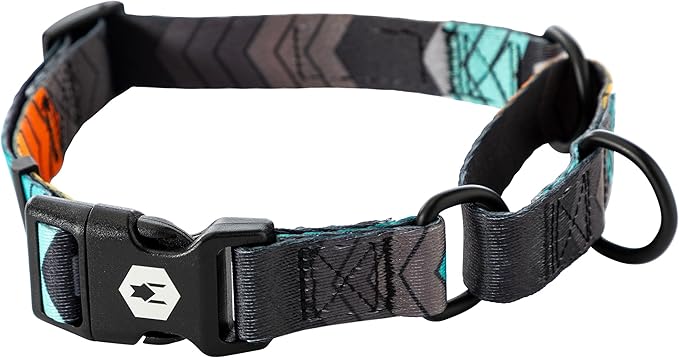 Wolfgang Heavy Duty Martingale Dog Collar with Quick Release Nylon Buckle for Walking & Training, ChevTech Print, Medium