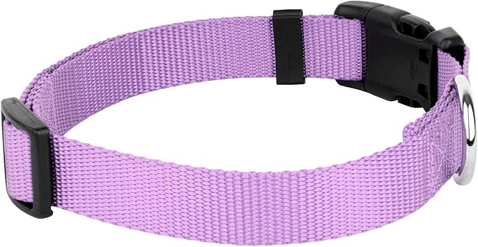 Country Brook Petz - American-Made Dog Collar for Large, Medium, and Small Dogs and Puppies - Deluxe Heavy Duty Nylon in 33 Dazzling Colors (Medium, 3/4 Inch Wide, Lavender)