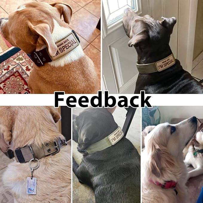 Tactical Dog Collar Military Adjustable Dog Collars Soft Nylon K9 Training Collar with Patch Heavy Duty Metal Buckle Collars for Medium Large Dogs (Violet, L)
