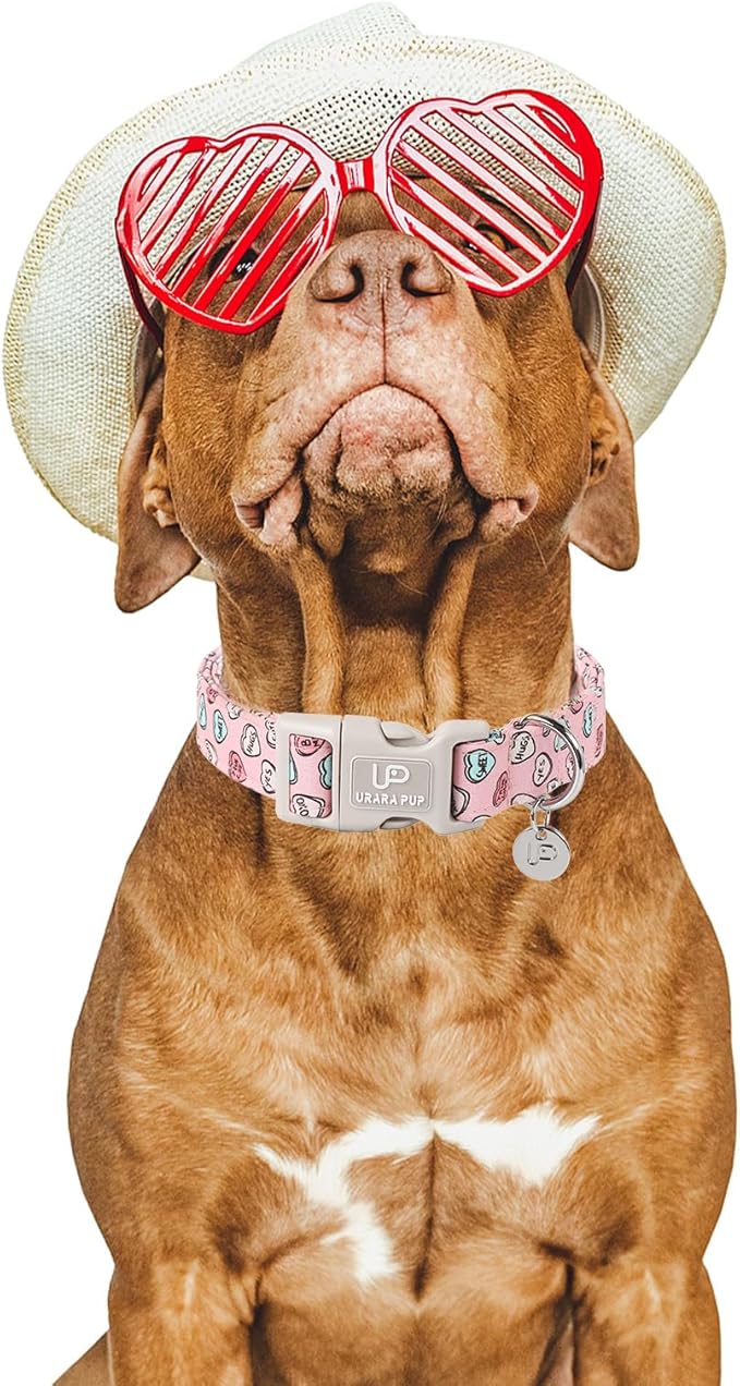 Pink Heart Dog Collar, Valentine's Gift for Puppy, Small to Extra Large Dogs, Cotton, Unique Craftsmanship Design, Breathable, Comfortable