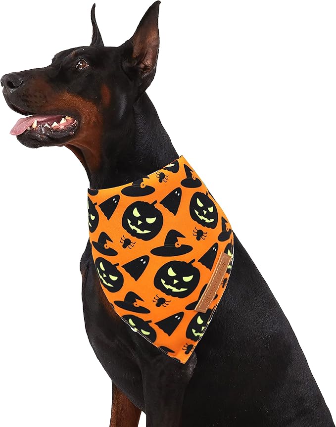 Realeaf Halloween Dog Bandanas 2 Pack, Pumpkin and Spider Web Bibs, Triangle Reversible Fall Pet Scarf, Premium Durable Fabric, Adjustable Fit (Small)