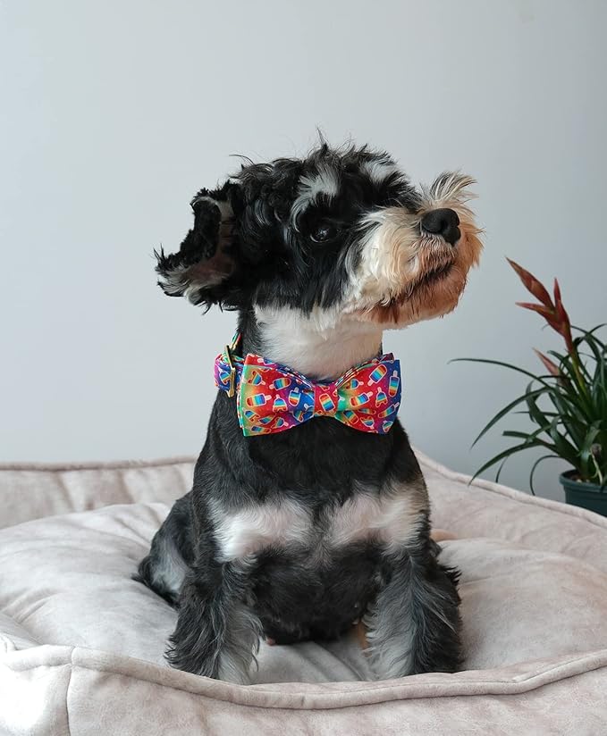ARING PET LGBTQ Rainbow Popsicle Dog Collar with Bow, Cotton Pride Bowtie Pet Collar with Metal Buckle