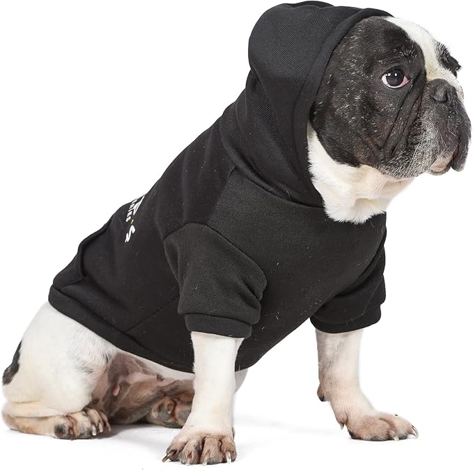 WB Friends Dog Hoodie, Black with Friends Logo, Size Medium with Hood and Pocket for Treats or Waste Bags | Friends Show Pet Products| Pet Clothes for Friends Lovers (FF20719)