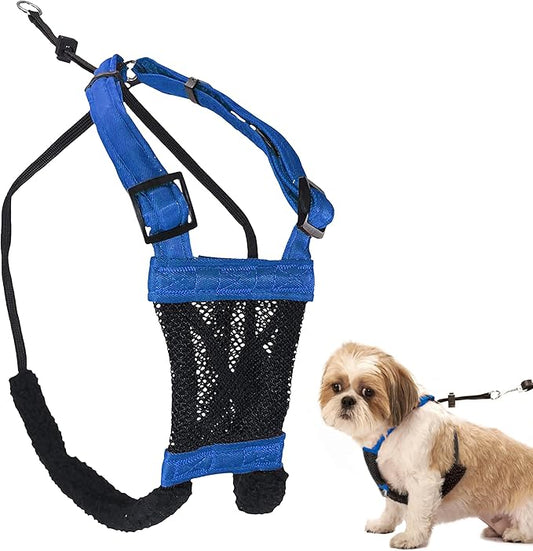 Sporn No Pull Dog Harness for Small-Sized Dogs - Blue Mesh, Heavy Duty Nylon, Breathable, Lightweight, Adjustable, Padded, Soft & Easy, Anti-Pull Body Halter, Small Dog Harness for Puppies