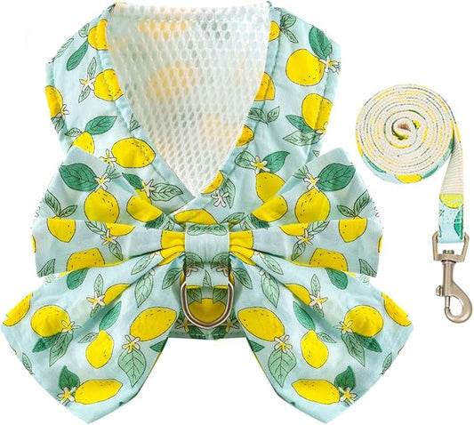 BAEJMJK Dog Harness and Leash Set with Bow Knot No Pull Pet Daisy Floral Harness with D-Ring Soft Mesh Dog Harness Vest Set Escape Proof Princess Puppy Harness for Small Girl Dogs Cats(Green XS)