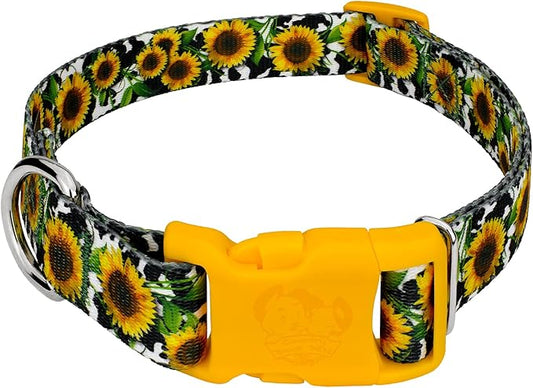 Country Brook Petz - Deluxe Dairy Fields Dog Collar - Made in The U.S.A. - Country and Western Collection Featuring Rustic Designs (1 Inch, Large)