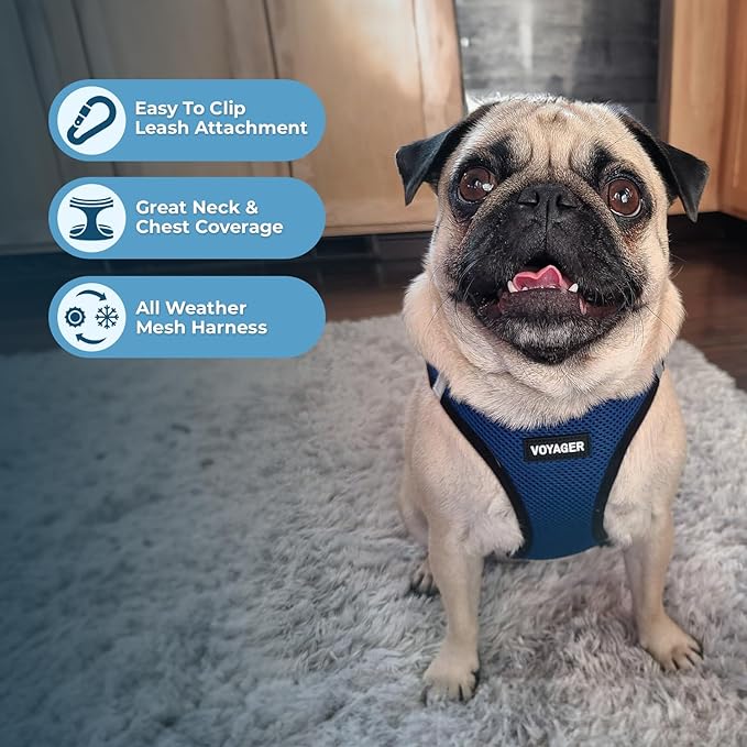 Voyager Step-in Air Dog Harness - All Weather Mesh, Reflective, No Pull Harness for Small, Medium Dogs, Cats - Secure with Hook & Loop Fastener, Buckle, Double D-Rings - Blue/Black Trim, XXXS