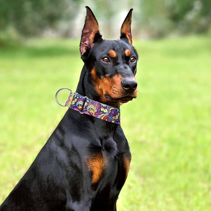 Martingale Dog Collar No-Pull Adjustable for Medium/Large Dogs - Heavy Duty 1.5" Wide Training Collar with Aztec Tribal Pattern, Durable Nylon Secure Fit (M)