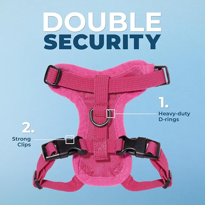 Voyager Step-in Lock Adjustable Cat Harness w. Cat Leash Combo Set with Neoprene Handle 5ft - Supports Small, Medium and Large Breed Cats by Best Pet Supplies - Fuchsia, S