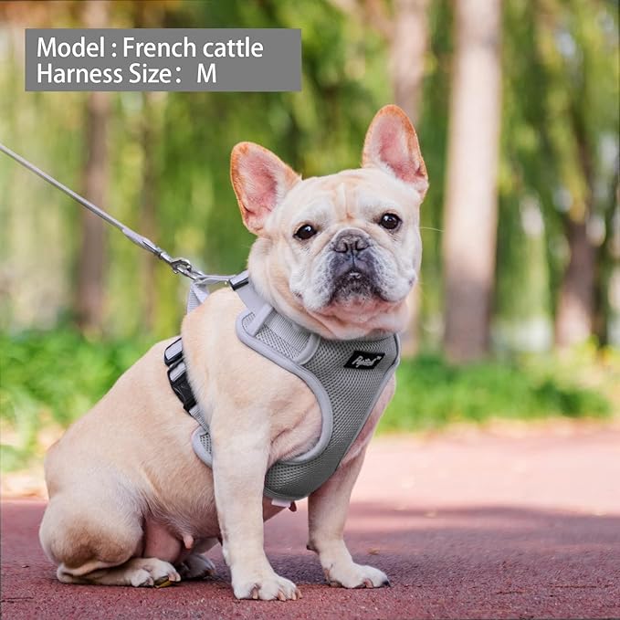 PUPTECK Dog Harness and Leash Set for Small Medium Dogs No Pull, Soft Mesh Adjustable Puppy Cat Harness Reflective at Night, Grey XS