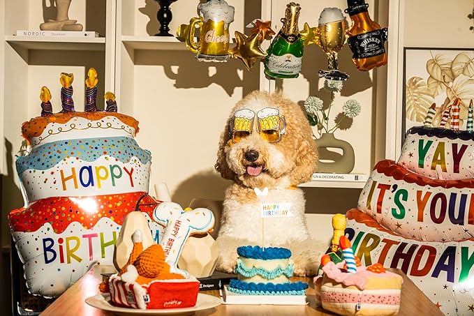 Birthday Bone Interactive Dog Toy - Interactive Tug Rope Pet Toy - Cute Unique Design Party Birthday Gift - Small Medium Puppy - Durable Chew Resistant Plush Toy with Squeaker for Teething (White)