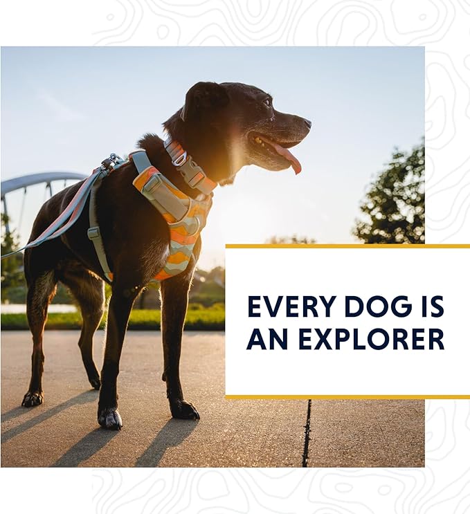 Ruffwear, Front Range Dog Leash, 5 ft Lead with Padded Handle for Everyday Walking, Deep Jungle