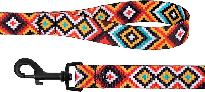 CollarDirect Aztec Dog Leash Nylon Tribal Pattern Cat Pet Leashes for Small Medium Large Dogs Puppy Lead 5 FT Long for Walking (Aztec Sunset, M)