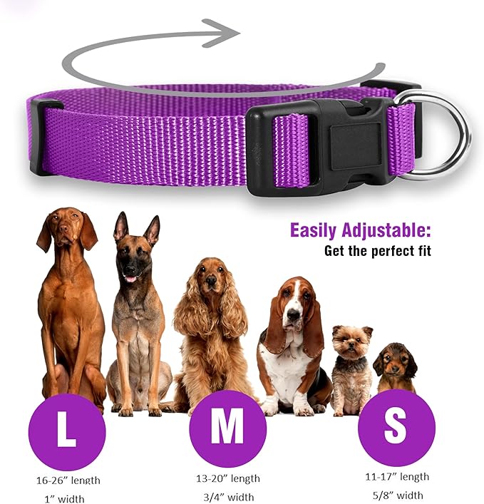 Native Pup Basic Nylon Dog Collar, Adjustable for Small, Medium, Large pet and Puppies Accessories, Cute Colors for Male, Female, boy, Girl, Puppy (Medium, Purple)