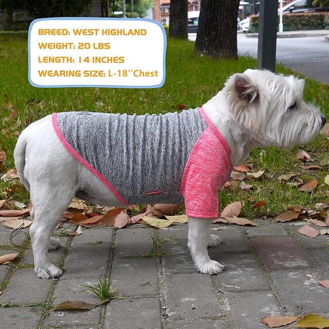 KYEESE 2 Pack Dog Shirts Quick Dry for Medium Dogs Breathable Lightweight Stretchy Dog T-Shirt with Reflective Label Raglan Sleeve Sun Protection, Coral Red+Grey, 2XL