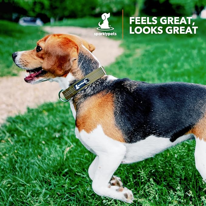 SparklyPets Small Dog Collar with Quick Release Buckle & AirTag Holder – Collars for Female Dogs & Boys with Reflective Stripes & Soft Lining – Perfect for Small & Medium Breeds