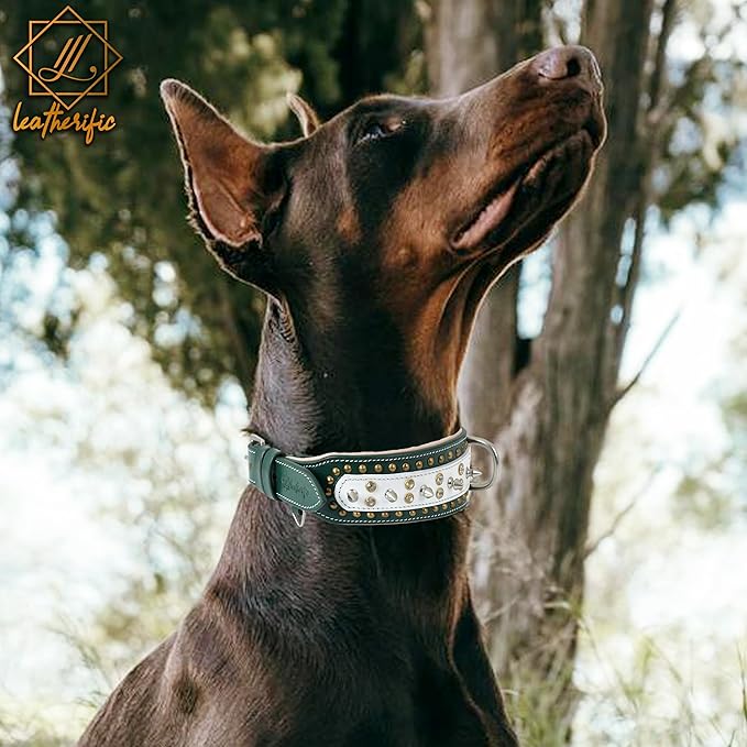 Genuine Leather Dog Collar by Leatherific, Premium Bridle Leather, Heavy Duty, Padded, Strong, Screwed Spikes, Medium, Large, Extra Large Breeds, 2" Wide (Forest Green, Neck Size 22"-26")