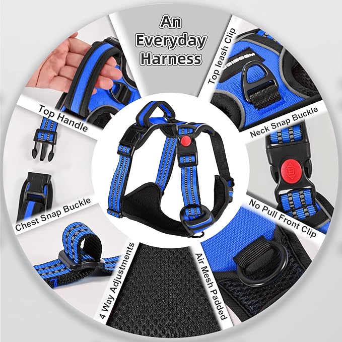 No Pull Dog Harness with A Free Heavy Duty 5ft Dog Leash, Adjustable Soft Padded Dog Vest, Reflective No-Choke Pet Oxford Vest with Easy Control Handle for Small and Large Dogs (Blue, Large)