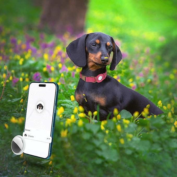 AirTag Dog Collar - Genuine Leather Dog Collar with Apple AirTag Holder and Metal Buckle - Smart GPS Tracking Pet Collars for Small Medium Large Dogs Puppy (Pink, L, 17"-21" Neck Fit)